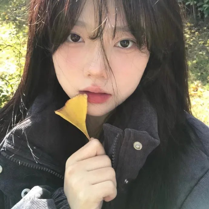 单身贵族